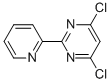 4,6-二氯-2-[2-吡啶]嘧啶