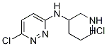 6-氯-N-3-哌啶基-3-哒嗪胺盐酸盐