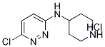 6-氯-N-4-哌啶基-3-哒嗪胺盐酸盐