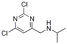 2,6-二氯-N-(1-甲基乙基)-4-嘧啶甲胺
