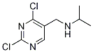 2,4-二氯-N-(1-甲基乙基)-5-嘧啶甲胺