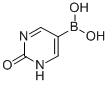2-羟基-5-嘧啶硼酸