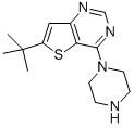 6-叔丁基-4-哌嗪噻吩[3,2-D]嘧啶